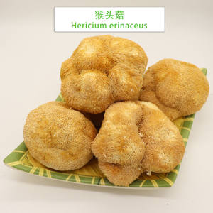 Precio al por Mayor de 1 kg de Hongo Melena de León de Alta Calidad, <span class=keywords><strong>Hericium</strong></span> <span class=keywords><strong>Erinaceus</strong></span>, Hongos Melena de León Secos a Granel para la Venta - Product Image 4