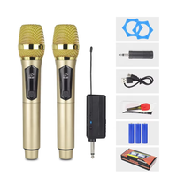 Système de microphone sans fil professionnel rechargeable à double micro, micro dynamique sans fil pour le karaoké, le chant et le divertissement à domicile