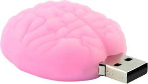 Clé USB 2.0 de 64 Go pour hôpital Organes humains Clé USB Poumon Coeur Estomac Cerveau Médecin Clé USB Memoria pour médecins - Product Image 2