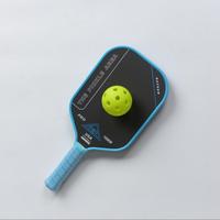 Rekreasyonel Maç Pickleball Raketi Karbon Fiber Özel Logo Mevcut Kulüp Antrenmanı ve Açık Hava Bahçe Oyunları İçin