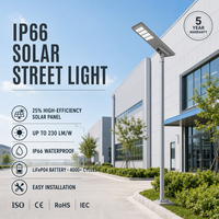 Lampadaire solaire 100 watts avec LED, indice de protection IP65, éclairage routier, prix