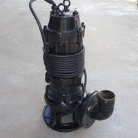 Pompe submersible électrique haute pression pour eaux usées, centrifuge en acier inoxydable, 220V/380V, 0,1-10 L/min, 5,5kW, 0,1-10 Bar, automobile