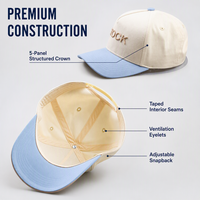 Op maat gemaakte fabrieks-5-delige 100% katoenen pet met 3D geborduurd opgezet logo, gestructureerde dad cap, hoge kwaliteit baseballpet