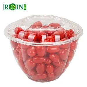 48OZ PET Transparent Disposable Plastic Salad Bowls Fruit Boxes Lunch Container With Lids