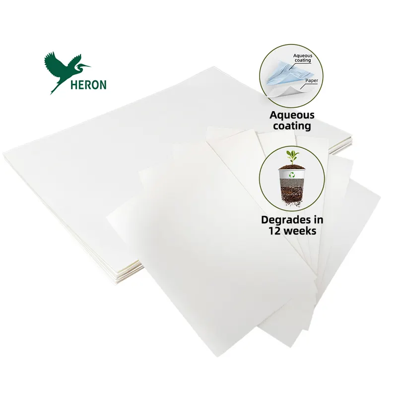 Wasserbeschichtetes heißgetränk weißes einweg-kaffeebecher-papier hersteller becher lüfter drucker umweltfreundliches becher-lüfter-blatt papier