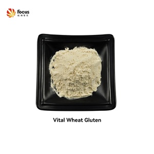 Sản Phẩm Mới Gluten Lúa Mì Quan Trọng Với Giá Cả Và Chất Lượng Tốt Nhất - Product Image 3