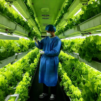 Ferme hydroponique en conteneur de 40 pieds, automatisée par PLC, à commande climatique, clé en main, pour la production de fourrage et de champignons