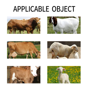 Additif alimentaire pour le bétail bovin et ovin améliorant la résistance des os avec des acides aminés de qualité alimentaire - Product Image 4