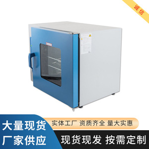 Horno de Secado al Vacío con Pantalla Digital Tipo 101, Equipo de Laboratorio con Control de Temperatura para Uso Científico - Product Image 5