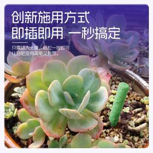 <span class=keywords><strong>Engrais</strong></span> pour plantes vertes spéciales, en bâtonnets à libération lente, pour plantes en pot, <span class=keywords><strong>bambou</strong></span>, fleurs, à libération lente, longue durée - Product Image 6