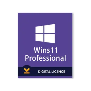 Win 11 Professional digital online send win 11 key fast Shipping MS win 11 pro