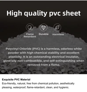 Moderne PVC Reptielenverblijf Terrarium met klikknop, constante temperatuur, kweekbak, habitat voor baardagame, slang, gekko - Product Image 4