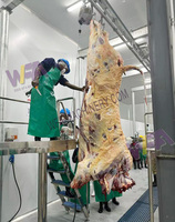 Abattoir commercial 200 ligne d'abattage de bétail de traitement de viande halal de bétail pour la machine d'abattoir de vache