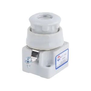 ZHENGRONG Manufacturer New High Quality RL1 Fuse Links 15A Ceramic Screw Type Ceramic Fuse Base