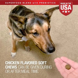 OEM/ODM Soft <strong>Chew</strong> Dog Multivitamin with Glucosamine Chondroitin Vitamin and Cranberry Powder for Skin and Hip Joint Health - Product Image 4