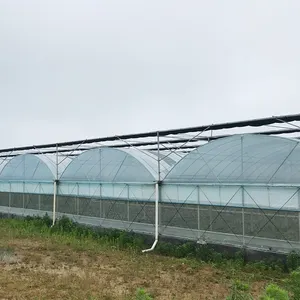 Hot-dipped galvanized frame plastic film agricultural greenhouse with hydroponics system for planting