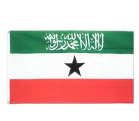 Logo personnalisé promotionnel 3x5ft drapeau somalien extérieur durable agitant la main drapeau du somaliland