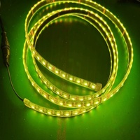 Adreslenebilir Çok Renkli DMX512 SPI Esnek LED Şerit LED Şerit Işıklar
