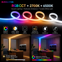 Bande lumineuse intelligente COB à changement de couleur RGBCW IC IP67 étanche, bande LED à pixels adressables pour l'éclairage paysager, CE UL ROHS