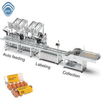 SKILT High-Speed Plastic Eierdoos Etiketteermachine met Meerdere Voedingskanalen en Automatische Stapel- en Verzamelapparaat