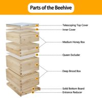 Neuer Wachsbeschichteter 4-Schichtiger Langstroth China-Fichten-Holz-Bienenstock Honigbox Modell B-7L Komplettset 35kg mit 1 Jahr Garantie für Landwirtschaftliche Nutzung