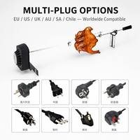Kit de rôtissoire électrique certifié CE, moteur AC 4W, tige de rôtissoire en acier inoxydable 304 pour poulet, dinde, rôtis, prise EU/US/UK/AU