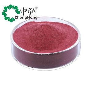 Polvere di Succo di Frutta Naturale Polvere di Ribes Nero - Product Image 3