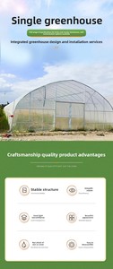<span class=keywords><strong>Serre</strong></span> agricole de qualité supérieure à simple travée avec film plastique PE anti-UV et structure en arche - Product Image 6