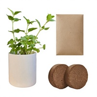 Kit de culture d'herbes aromatiques avec pot de culture et substrat écologique en fibres végétales pour bureau, jardin et maison