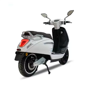 Motocicleta Ecorider Pro 1000w, Motocicleta de Alta Potencia y Largo Alcance Shunyang-war Wolf-3 Shunyang - Product Image 4