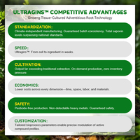 Extrait de racine adventice de ginseng de qualité supérieure, pur, pour le soutien immunitaire et l'énergie, complément alimentaire, matière première