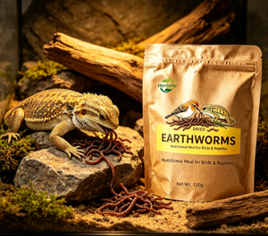 Suplemento alimenticio al por mayor, suplemento alimenticio natural de gafanhotos secos, alimento para mascotas, comida nutritiva para aves y reptiles - Product Image 6