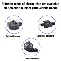 Lancol 12V chargeurs de batterie de voiture et de moto réparation de batterie au lithium et vérification de la connexion du véhicule avec prise