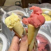 Machine à yogourt glacé et gelato entièrement automatique Miles Galaxy Pro V4, en acier inoxydable, capacité 48L/H, pour la restauration commerciale