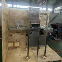 Cinta Transportadora Automática Controlada por PLC para Botellas, con Dosificación Cuantitativa Personalizada |   Aceite Viscoso de Acero Inoxidable de Alta Eficiencia