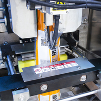 Machines d'emballage pour petites entreprises de jus de boisson lait liquide Machine à emballer liquide préfabriquée avec pochette