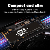 قرص صلب PUSKILL PCIE3.0 عالي السرعة وسعة كبيرة NVME بسعات 128 جيجابايت و256 جيجابايت و512 جيجابايت و1 تيرابايت و2 تيرابايت SSD M.2