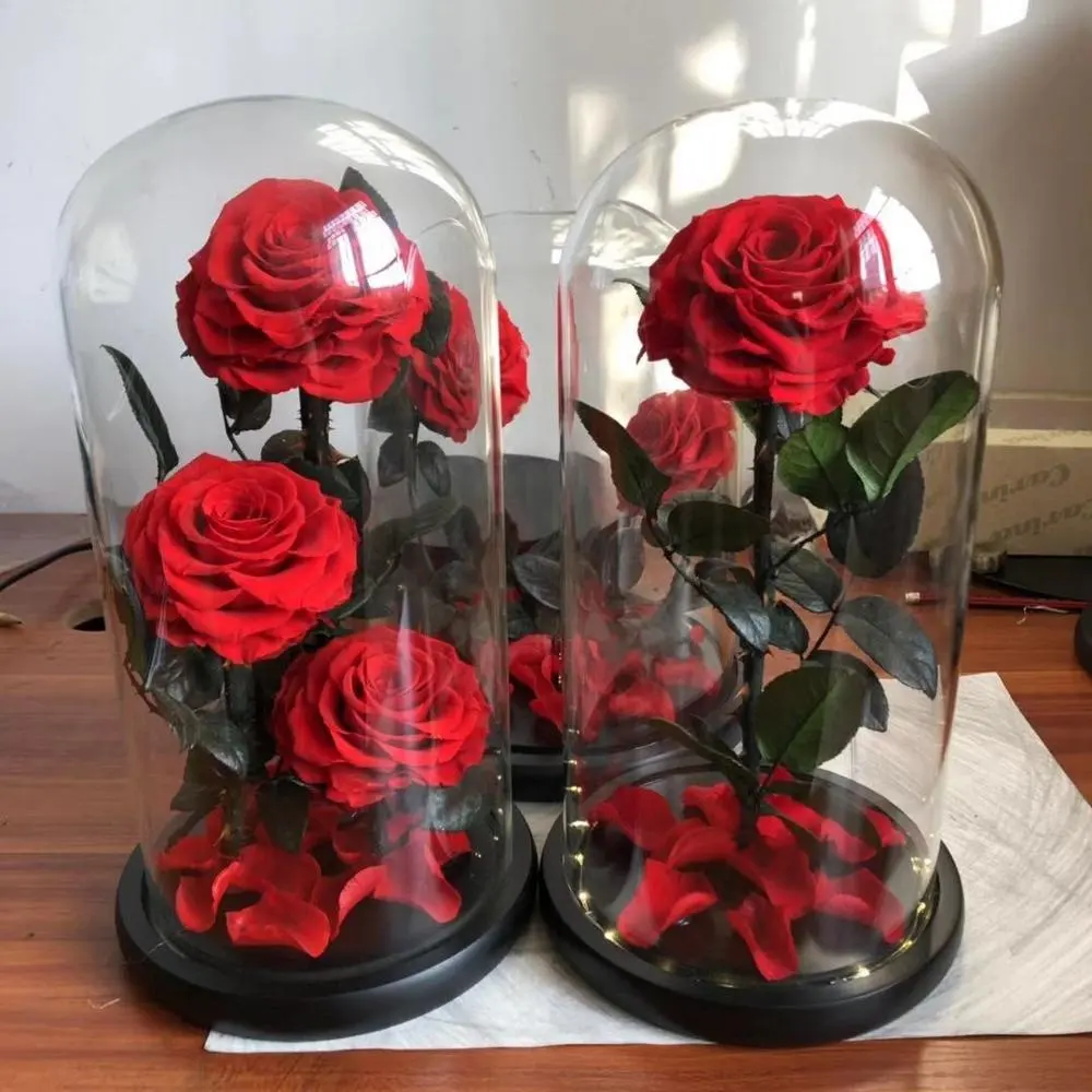 Rose éternelle sous dôme de verre, 1 pièce, vraie rose préservée comme décoration de mariage