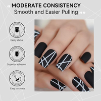 RS Nail 5g Gel Araignée Semi-Permanent Haute Résistance, Non Cassable, pour Dessin Floral et Peinture, OEM ODM, Vernis Gel Araignée UV