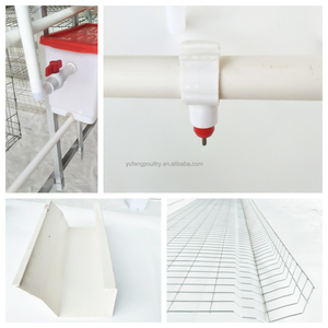 Gabbia per Galline Ovaiole a 4 Livelli Tipo A, Alta Capacità per Oltre 10.000 Uccelli, Salvaspazio, con Abbeveratoio Automatico - Product Image 5