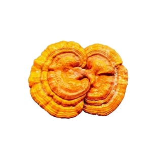 Vente chaude Séché Ganoderma Lucidum À Base De Plantes Naturel Pur Produit Agricole Primaire <span class=keywords><strong>Champignon</strong></span> - Product Image 4