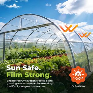 Heavy Duty <b>Greenhouse</b> <b>Plastic</b> Sheeting 6 Mil 8x25 Ft UV Resistant Clear Polyethylene Film For Garden Agriculture - Product Image 3