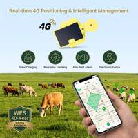 WES Solar 4G GPS Ear Tag WE-B30 Pelacak Ternak Pintar IP65 Daya Tahan 7 Hari untuk Sistem Manajemen Peternakan Sapi Domba