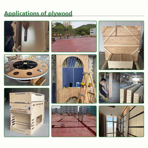 Panneaux de contreplaqué de qualité commerciale en gros pour meubles - Fabricant de panneaux écologiques - <span class=keywords><strong>Nancy</strong></span> - Product Image 6