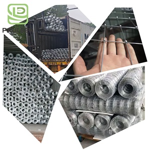 Rete metallica zincata a caldo recinzione di sicurezza per cavalli Sport scherma campo quadrato per bestiame struttura metallica - Product Image 6