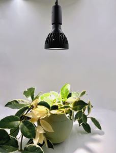 하이 퀄리티 Led 빛 개암 식물 전체 스펙트럼 식물 성장 전구 E27 스포트라이트 - Product Image 4