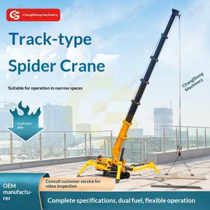 Grúa Araña Pequeña, Grúa Araña Móvil Hidráulica con Orugas y Elevador - Product Image 5