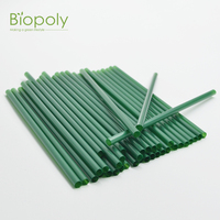 Pailles jetables en PLA biodégradables et compostables BIOPOLY, respectueuses de l'environnement, pour les fêtes et la consommation de café/jus