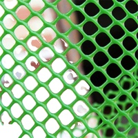 Carré clair Volaille Maille En Plastique De HDPE