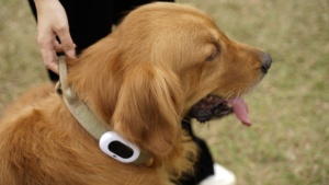 Dispositivo de seguimiento <span class=keywords><strong>GPS</strong></span> inteligente para mascotas, <span class=keywords><strong>Collar</strong></span> para perros y gatos, resistente al agua, IP67, con luz LED, bloqueo antimanipulación, valla WIFI y batería de larga duración - Product Image 3